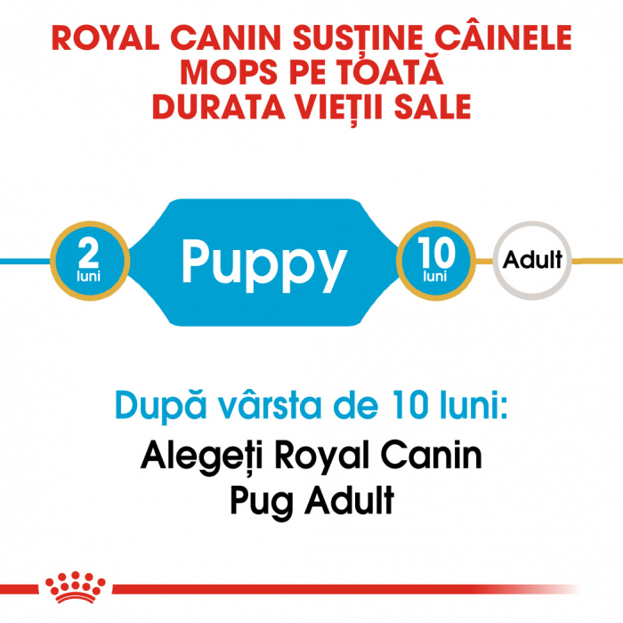 Royal Canin Pug Puppy 1,5 kg [3]
