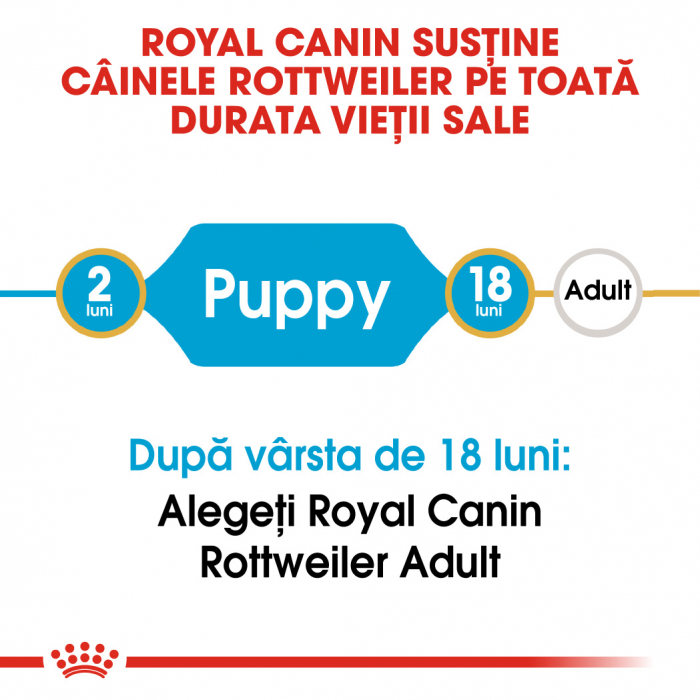 Royal Canin Rottweiler Puppy, 12 Kg [3]
