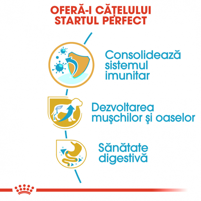 Royal Canin Rottweiler Puppy, 12 Kg [4]
