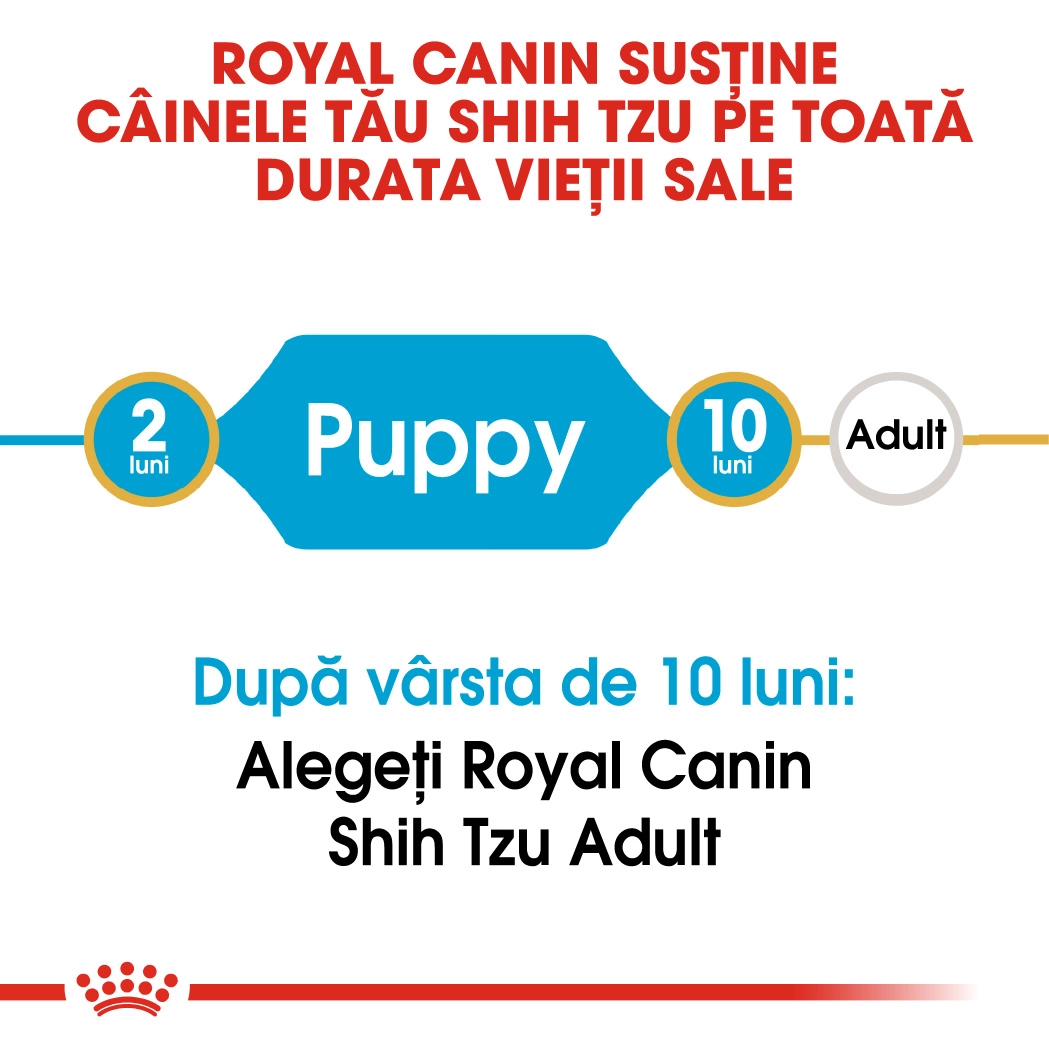 Royal Canin Shih Tzu Puppy [3]