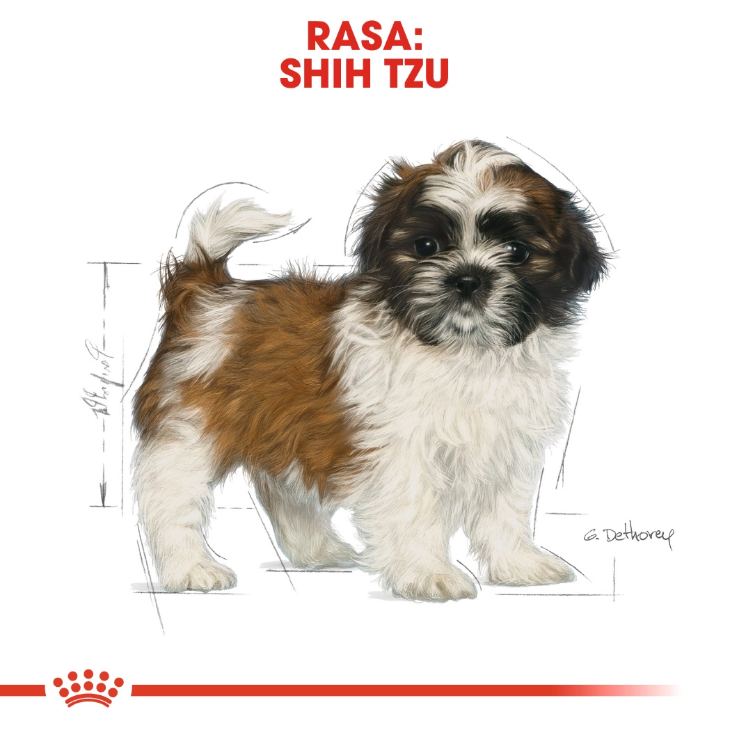 Royal Canin Shih Tzu Puppy [6]