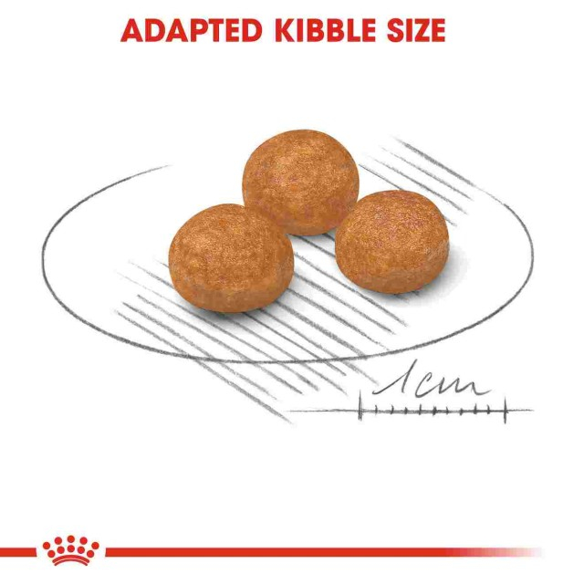 Royal Canin X-Small Adult [7]