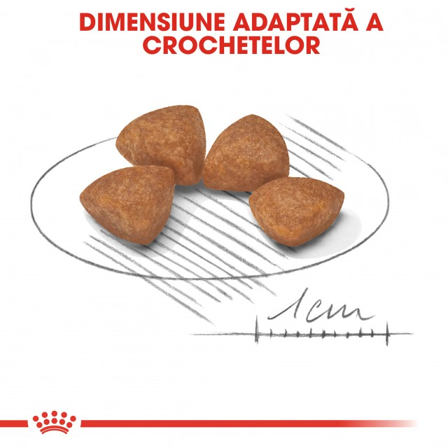 Royal Canin X-Small Puppy [3]