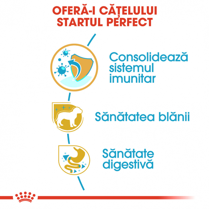 Royal Canin Yorkshire Puppy [4]