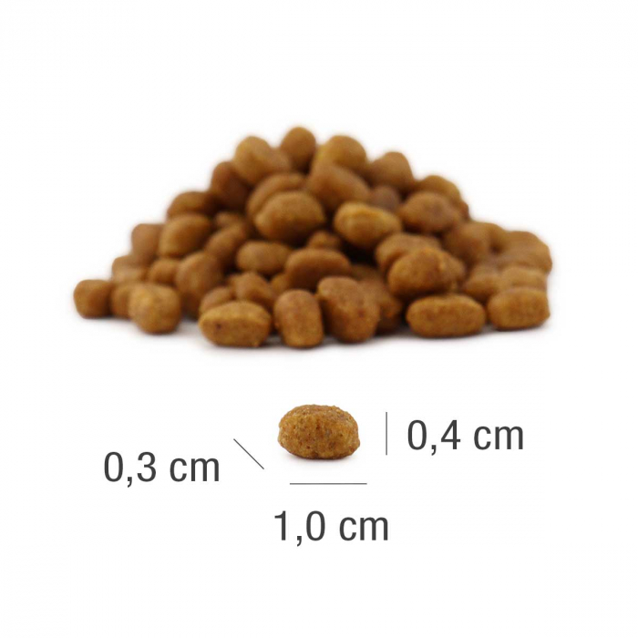 Platinum MeatCrisp Kitten Fish [2]