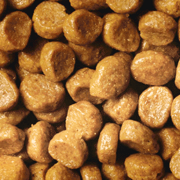 Pro Plan Original Kitten Pui [6]