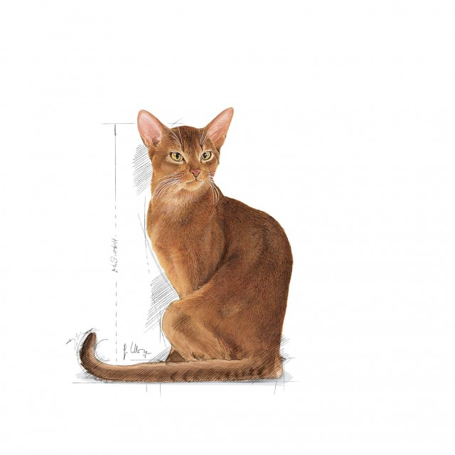 Royal Canin Exigent Savour [5]