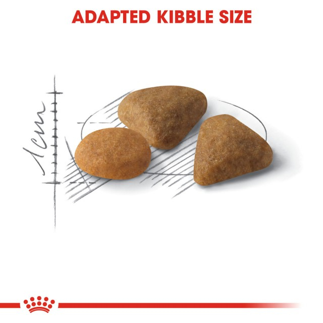 Royal Canin Exigent Savour [4]