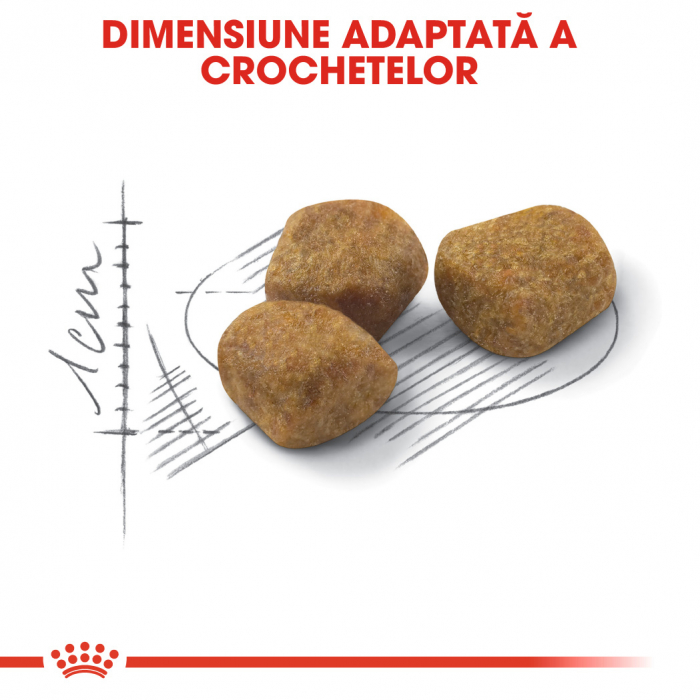 Royal Canin FIT32 [5]