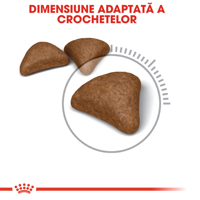 Royal Canin Hairball Care [4]