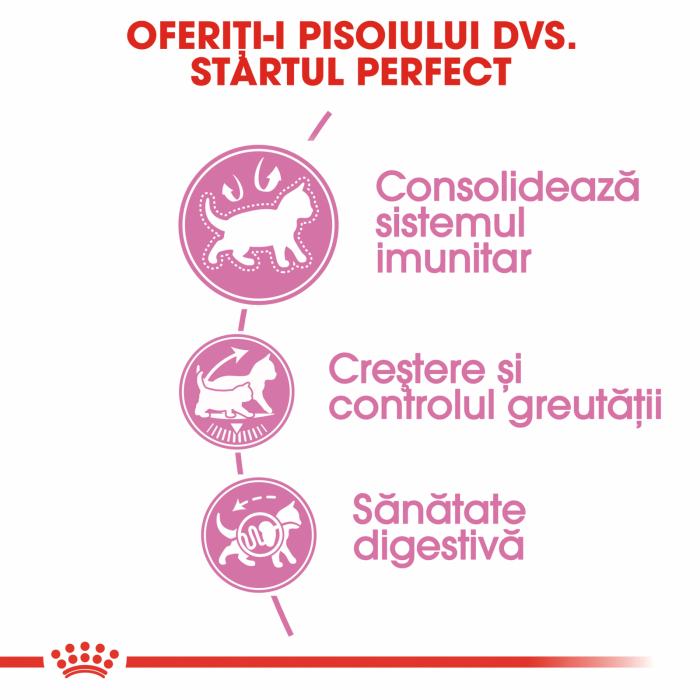 Royal Canin Kitten Sterilised [4]