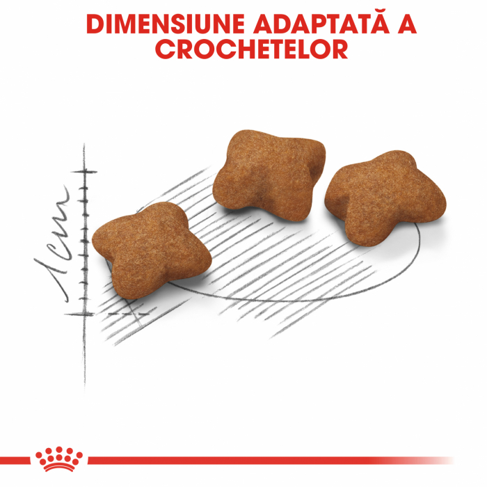 Royal Canin Kitten Sterilised [5]