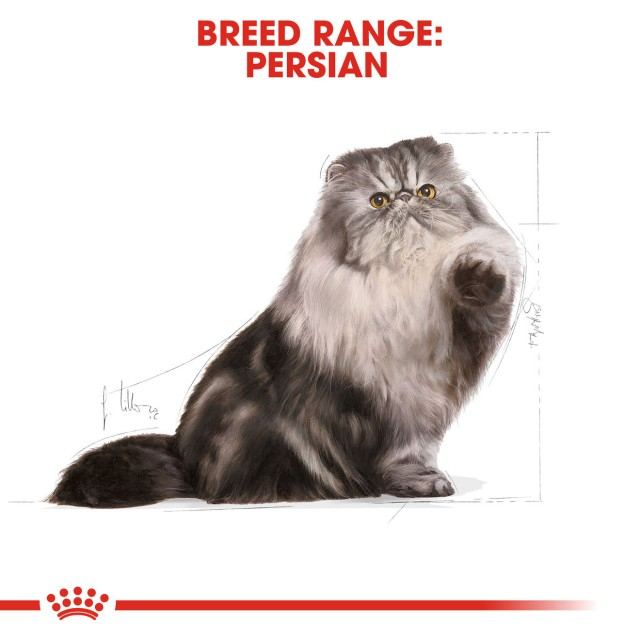 Royal Canin Persian [5]
