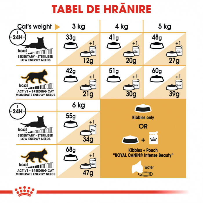 Royal Canin Siamese [4]