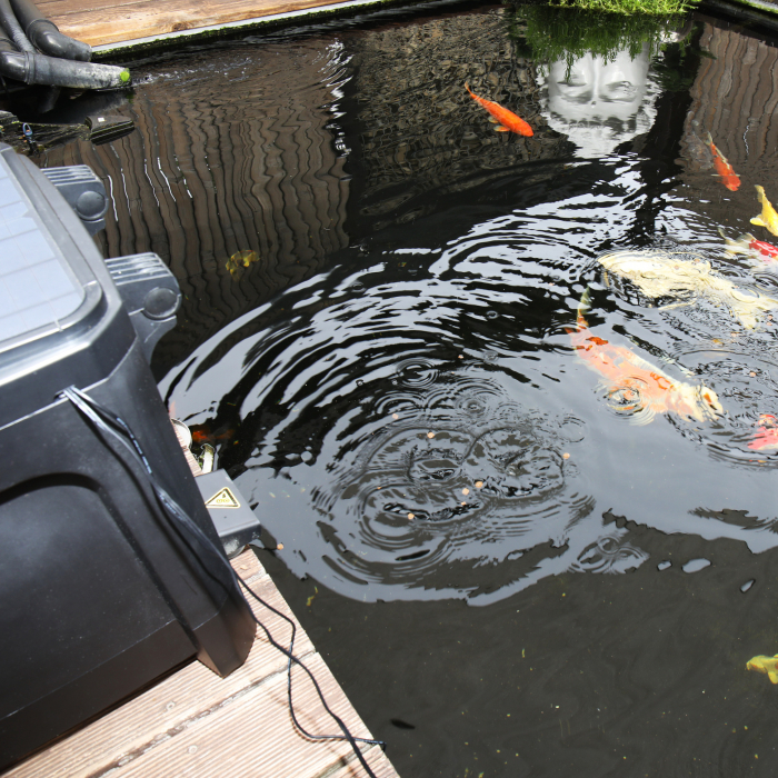 JBL ProPond AutoFood [12]