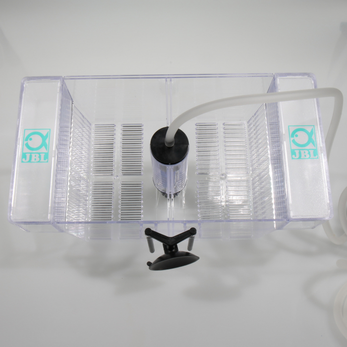 JBL BabyHome Oxyge [8]
