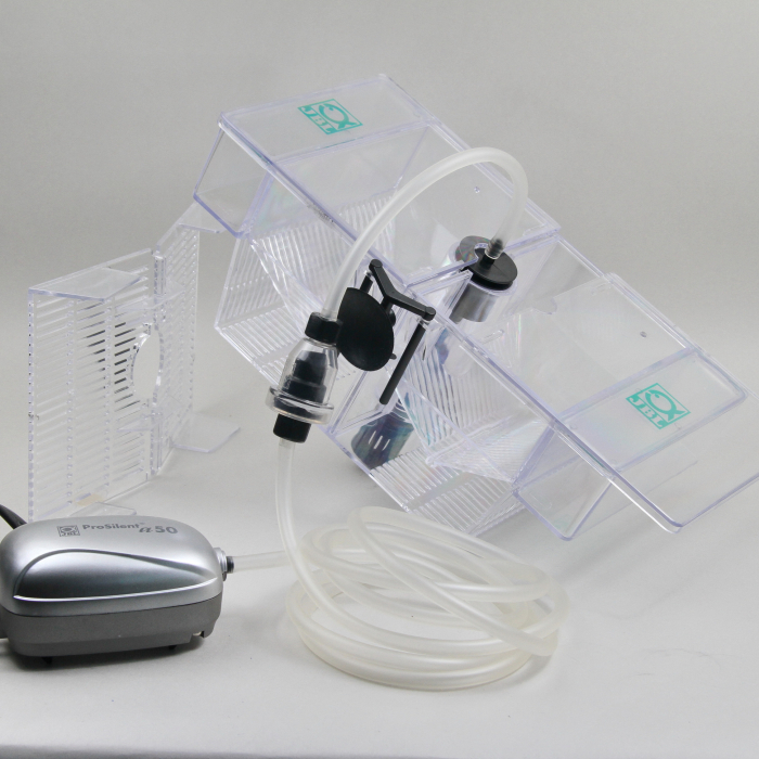 JBL BabyHome Oxyge [5]