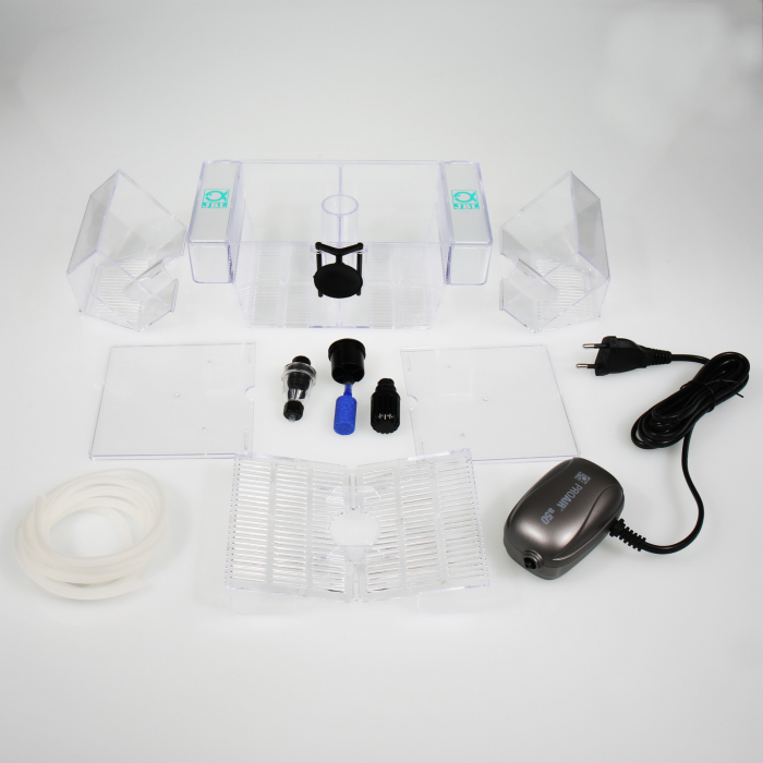 JBL BabyHome Oxyge [4]