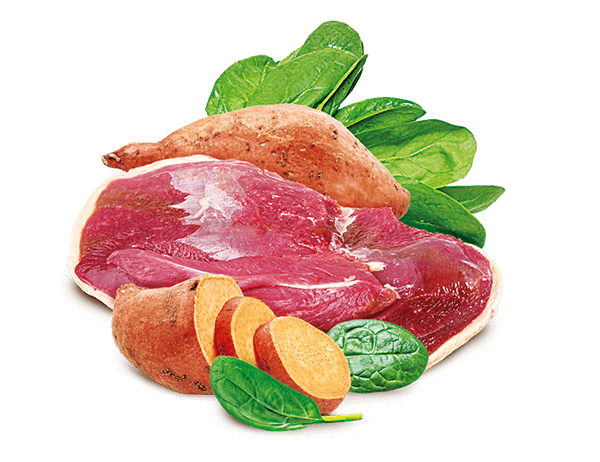 Sam's Field Gâscă crocantă cu cartofi dulci și spanac, 200g [2]