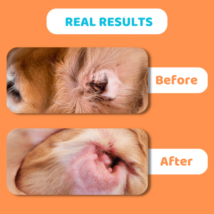 Dogslife Ear Cleaning Wipes, pachet x 50 buc [7]