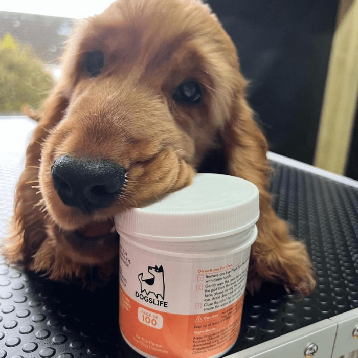 Dogslife Eye Cleaning Wipes [6]