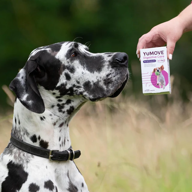 Yumove digestive care for all dogs ,120tb [2]
