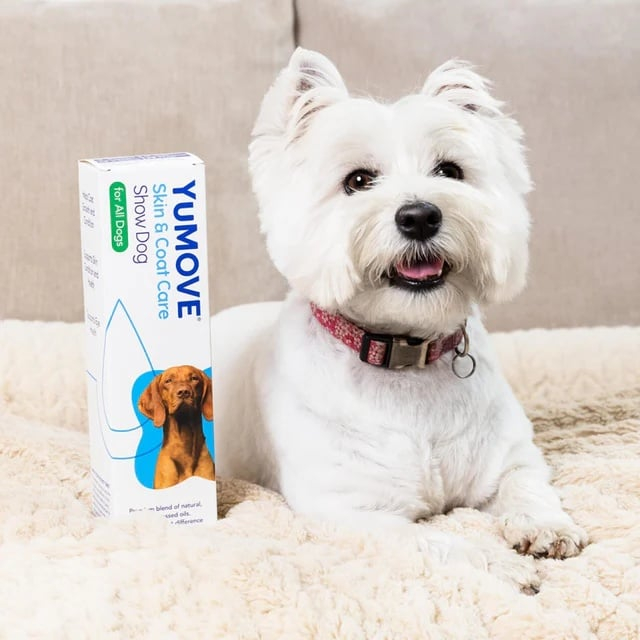 Yumove skin&coat care show dog for all dogs, 500ml [3]