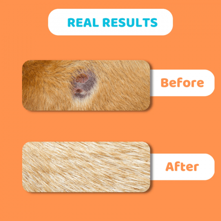 Dogslife Itch Relief Balm, 60 ml [5]