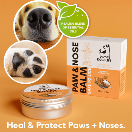 Balsam pentru nas si labute, Dogslife Paw & Nose Balm, 60 ml [1]