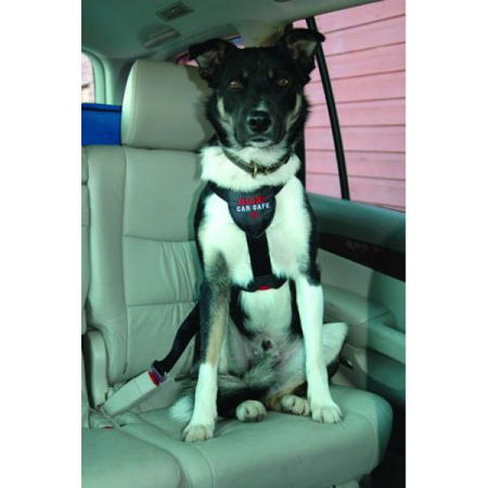 Centura siguranta pentru caine,The Company Of Animals Car Safe [3]