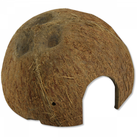  Decoruri terarii - JBL Cocos Cava