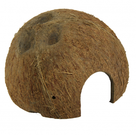 JBL Cocos Cava [1]