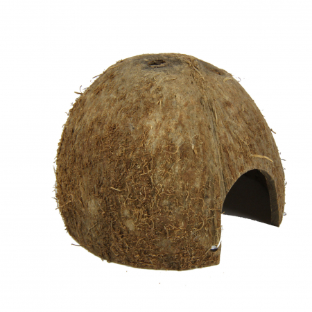 JBL Cocos Cava [5]