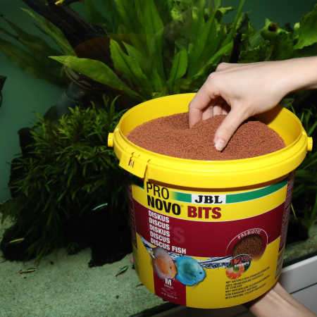 JBL ProNovo Bits Grano M [6]