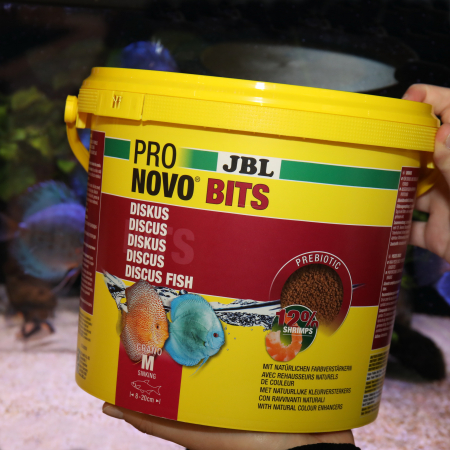 JBL ProNovo Bits Grano M [4]