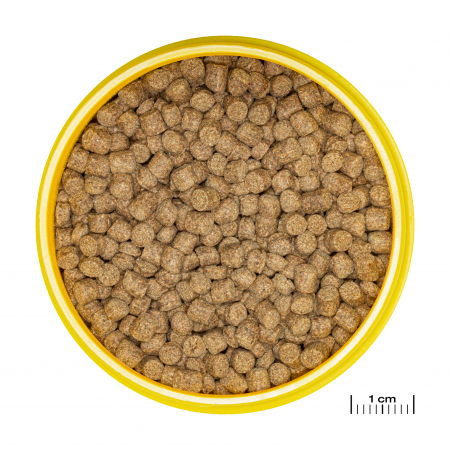JBL ProNovoLotl Grano M, 250ml [1]