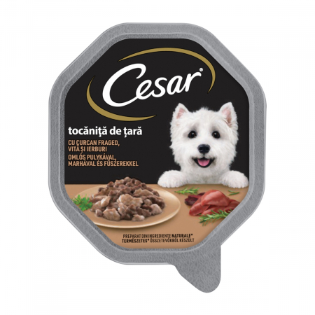 Caini - Cesar Tocanita de Tara Curcan si Vita