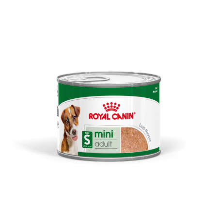 Caini - Royal Canin Mini Adult Loaf