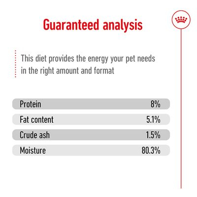 Royal Canin Mini Ageing [6]
