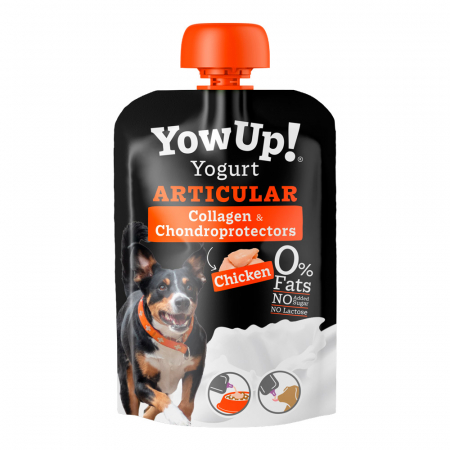 Caini - Yow Up Chicken Articulate Dogs