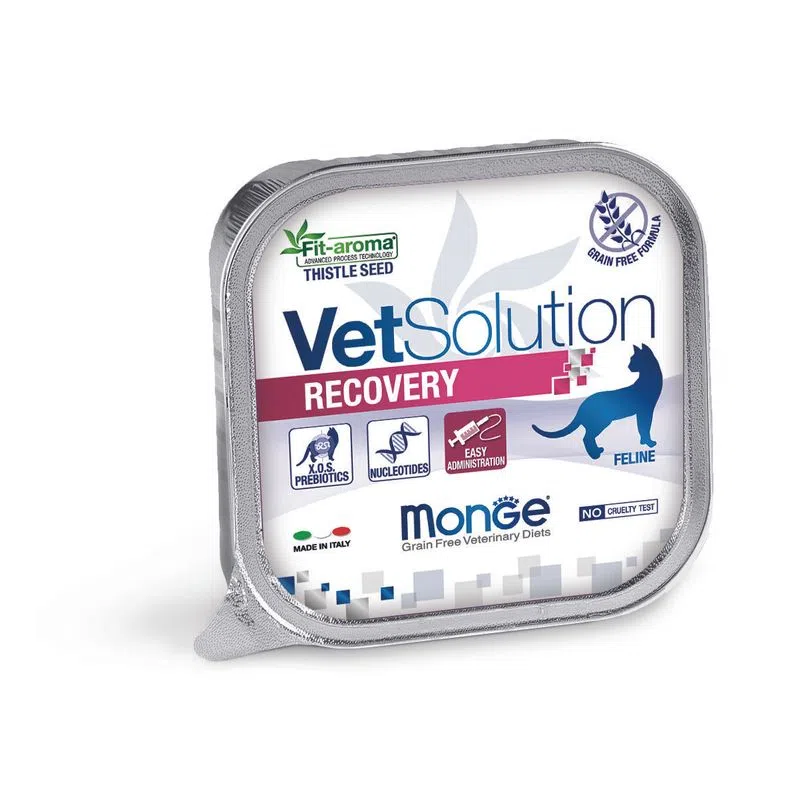 Pisici - Monge Vet Cat Recovery