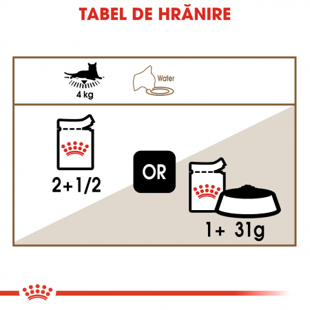 Royal Canin Ageing +12 [4]