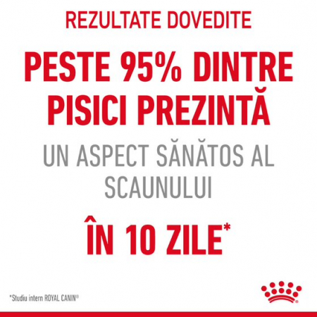 Royal Canin Digest Sensitive [1]