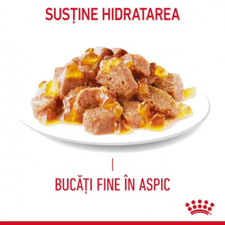 Royal Canin Hair&Skin Jelly [3]