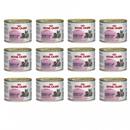 Hrana umeda pentru pisici - Royal Canin Mother & Babycat Can Mousse