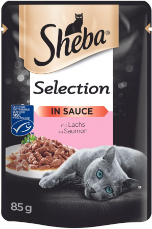 Pisici - Sheba Somon in Sos