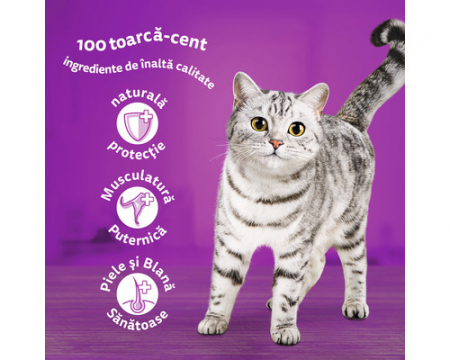 Whiskas Adult cu Somon in sos [4]