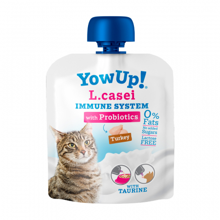 Pisici - Yow Up L. Casei Cat probiotics
