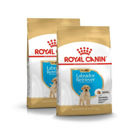 Caini - Royal Canin Labrador Retriever Puppy