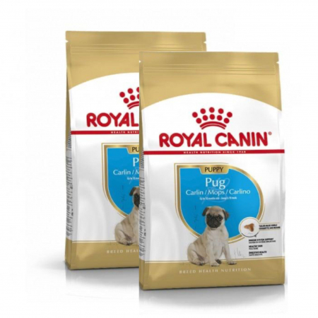 Caini - Royal Canin Pug Puppy 1,5 kg